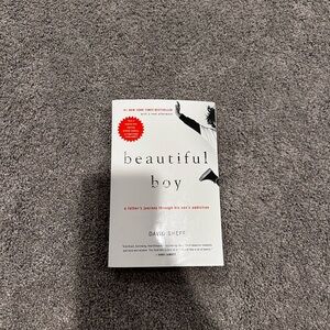 Beautiful Boy Book by David Sheff